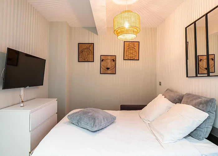 Sublime Renove - Meynadier 公寓 戛纳