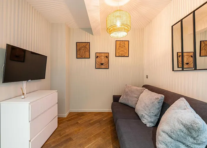 Sublime Renove - Meynadier 戛纳